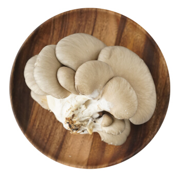 新鲜平菇生鲜健康蔬菜菌菇煲汤食材火锅食材蘑菇美食美味鲜活 400g