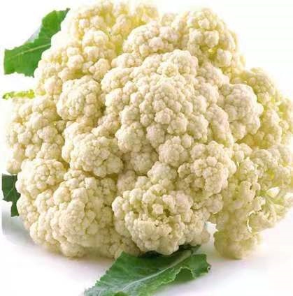 有机花菜新鲜蔬菜花椰菜花菜绿色蔬菜散菜花白菜