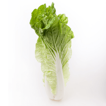 四川蒲江新鲜蔬菜小白菜下锅耙 不喷农药 孕妇专用 时令蔬菜