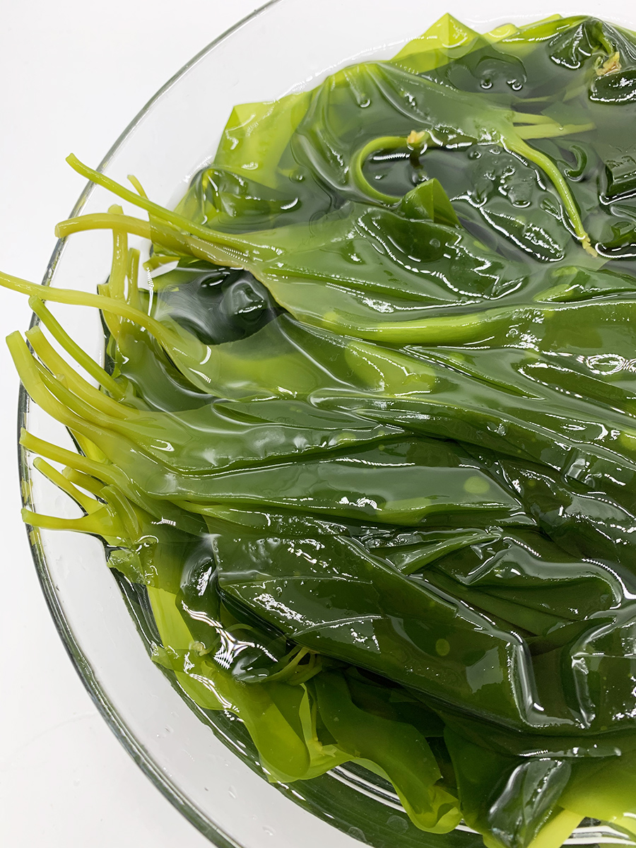 海带苗干货嫩海带芽特级霞浦非干货三秒火锅新鲜食材